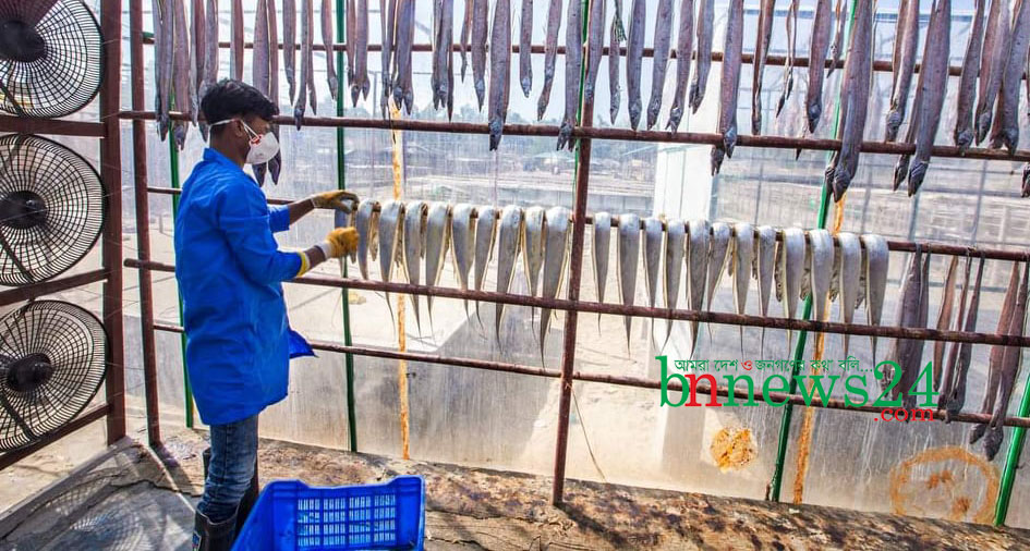 
বিষমুক্ত শুটকি উৎপাদন ও সরবরাহে কোস্ট ট্রাস্টের সঙ্গে ফিঙের চুক্তি সই