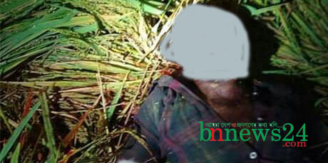 চৌগাছায় ধানক্ষেত থেকে কৃষকের লাশ উদ্ধার