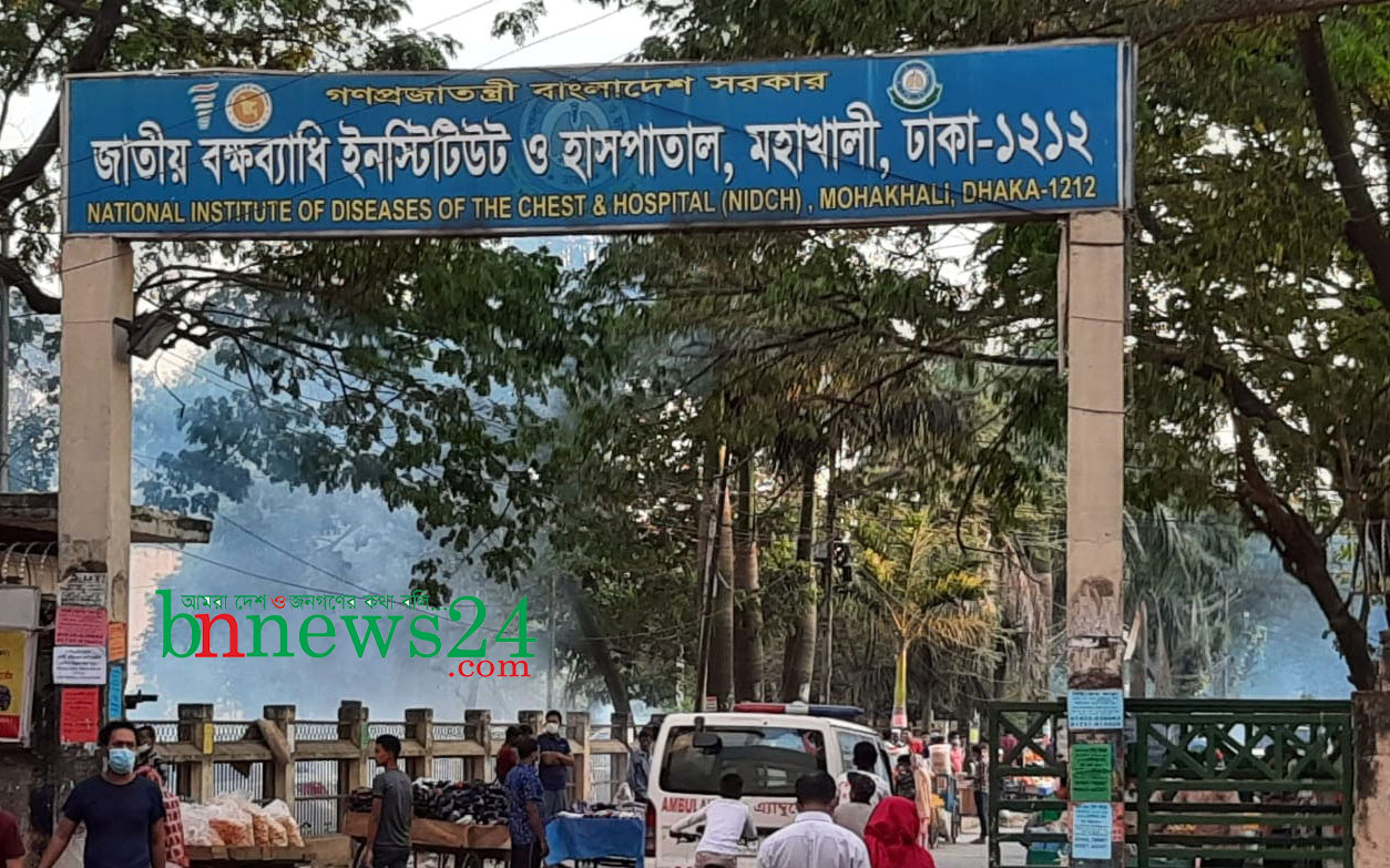 ডিএনসিসি এলাকায় আজ থেকে মশকনিধন কার্যক্রম শুরু