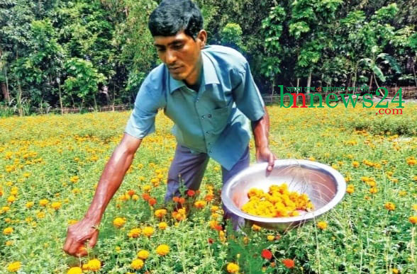 
ফুল চাষিরা ফুল উৎপাদন ও পরিচর্যায় ব্যস্ত সময় পার করছে