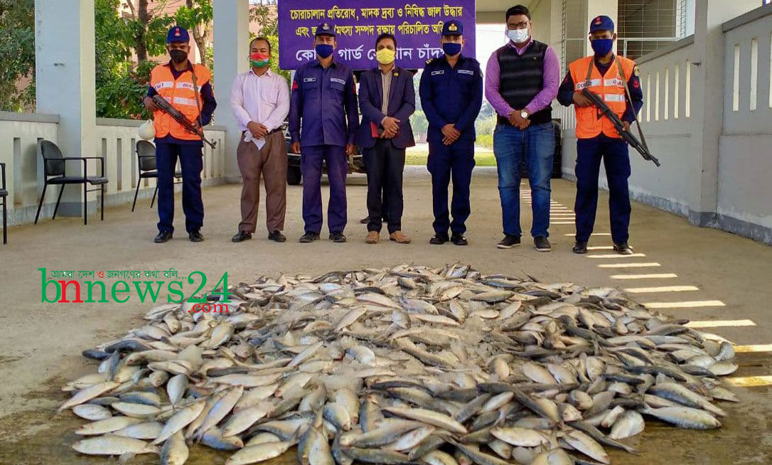 চাঁদপুরে থেকে বিপুল পরিমান জাটকা জব্দ