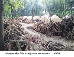 মণিরামপুরে কাঠ পুড়িয়ে কয়লা উৎপাদন 
এলাকার পরিবেশ-প্রতিবেশ হুমকির মুখে
