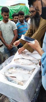 ভারতে ইলিশ রফতানি বন্ধ
