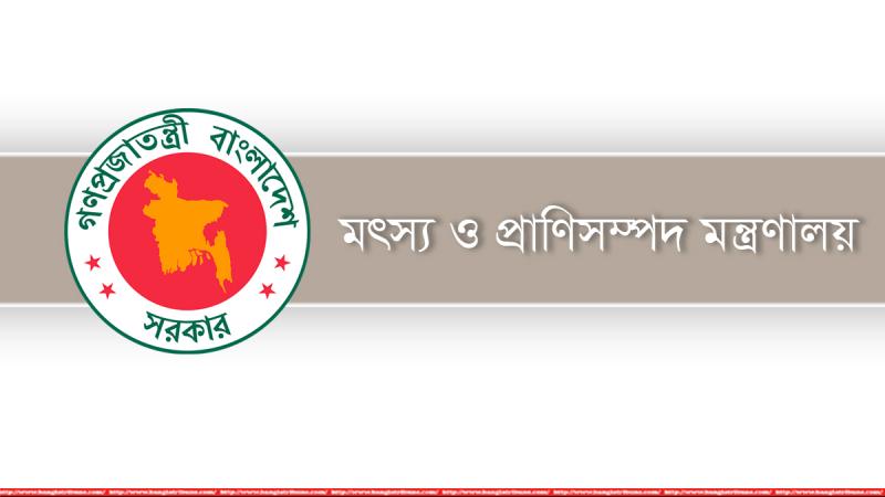 
২৩৪ জন কর্মচারীর বেতন গ্রেড উন্নীত করেছে মৎস্য ও প্রাণিসম্পদ মন্ত্রণালয়