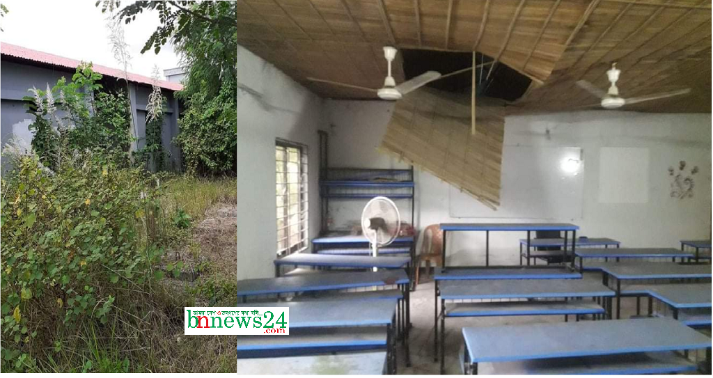 ঝোপঝাড়ের মধ্যে টিনশেডে তিন বছর ধরে চলছে ট্যুরিজম বিভাগের কার্যক্রম