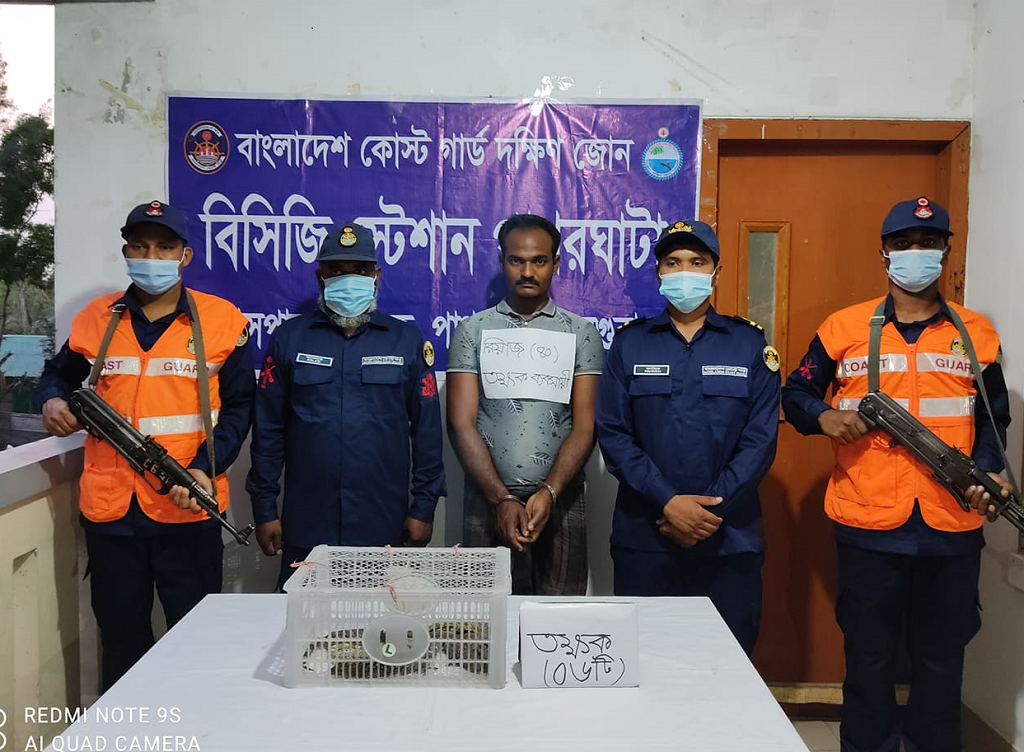 ৬ টি তক্ষকসহ এক পাচারকারী আটক করেছে কোস্ট গার্ড