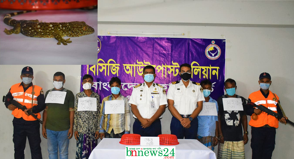 ২ কোটি টাকার ২টি তক্ষকসহ ৫ চোরাকারবারীকে আটক করেছে কোস্ট গার্ড