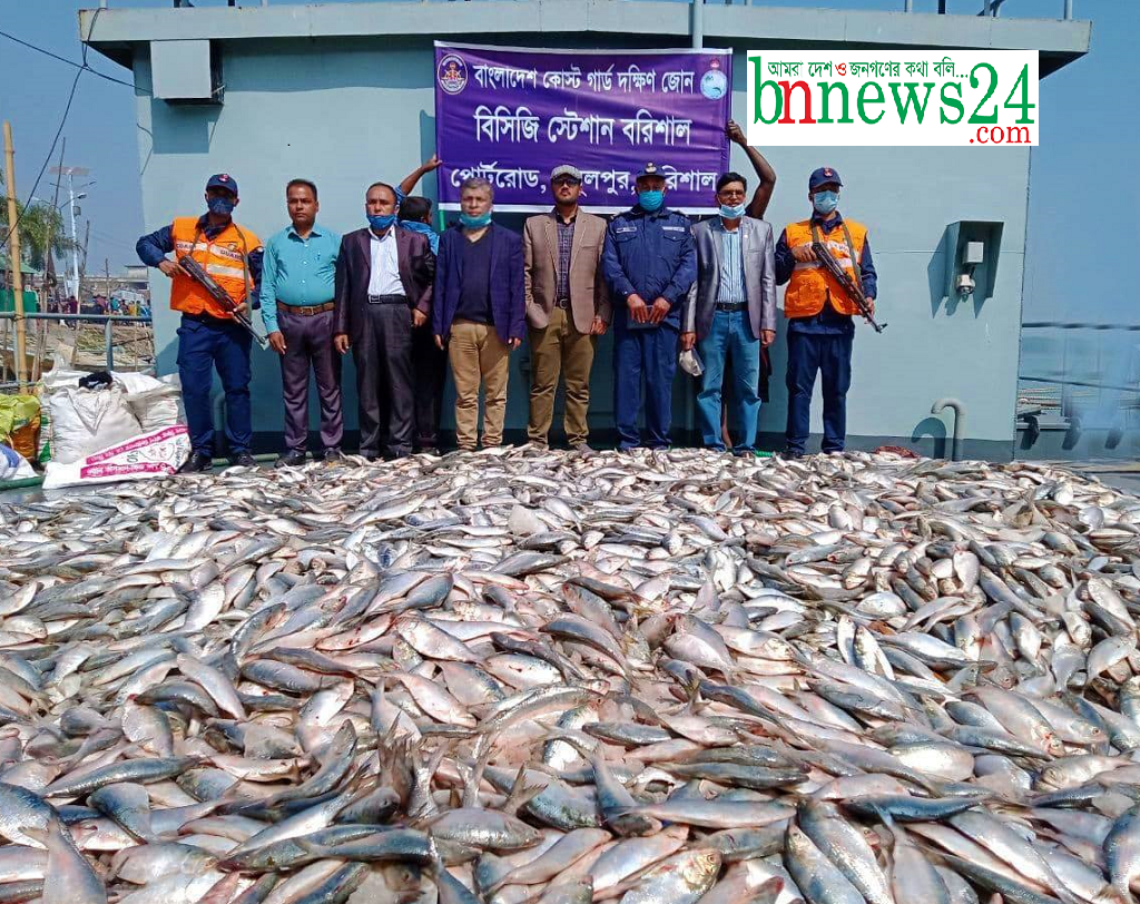 কীর্তনখোলা নদী থেকে ১৪২ মন জাটকা করেছে কোস্ট গার্ড