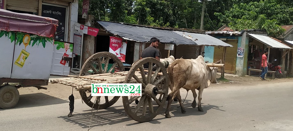 গ্রাম বাংলার ঐতিহ্যবাহী গরুর গাড়ি এখন স্মৃ‌তি