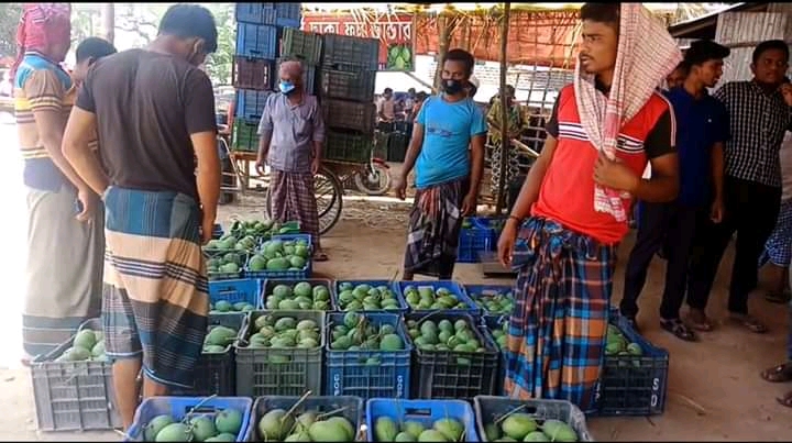 শার্শায় ইজারা বহির্ভূত ফলের বাজার, সরকার হারাচ্ছে বছরে কোটি টাকা রাজস্ব