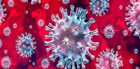 চৌগাছায়  ৯ জনের করোনা শনাক্ত