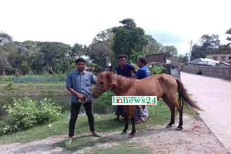 যশোরে শ‌খের ঘোড়া!