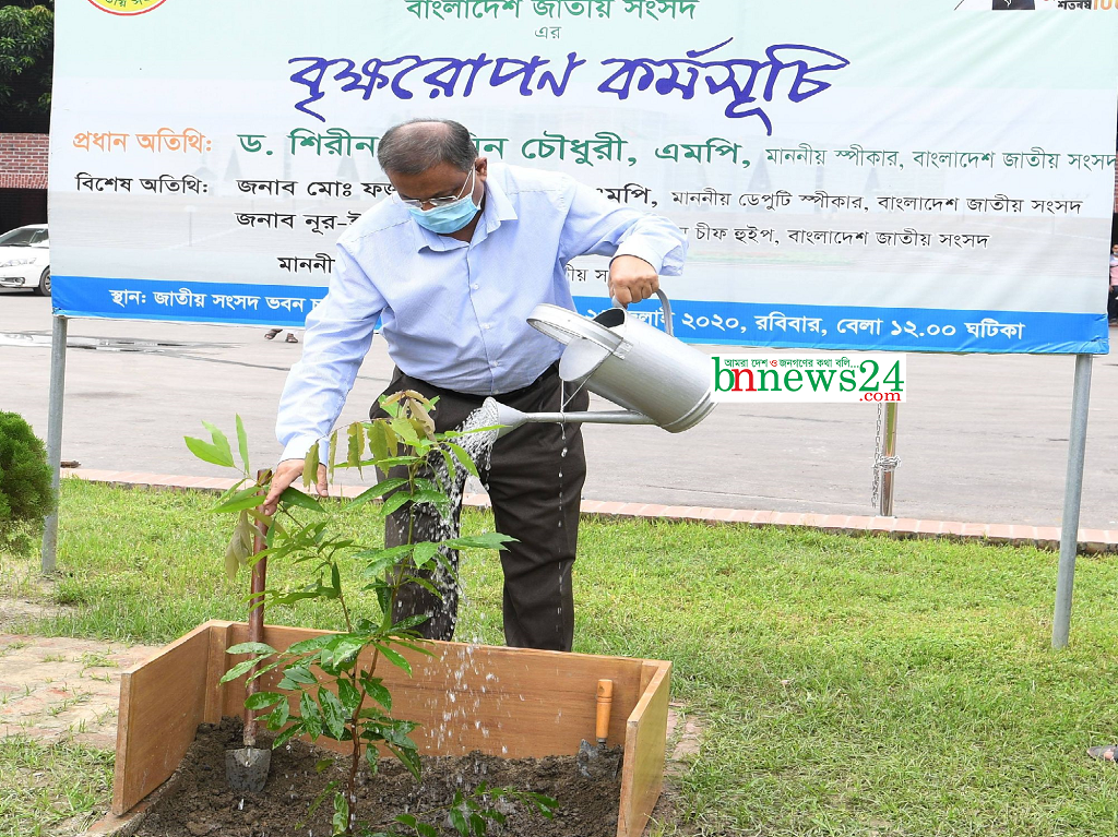 বৃক্ষরোপণ কর্মসূচি আজ আন্দোলনে রূপ নিয়েছে : তথ্যমন্ত্রী