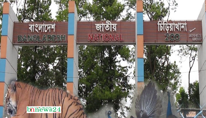 পহেলা নভেম্বর থেকে স্বাস্থ্যবিধি মেনে খুলছে জাতীয় চিড়িয়াখানা