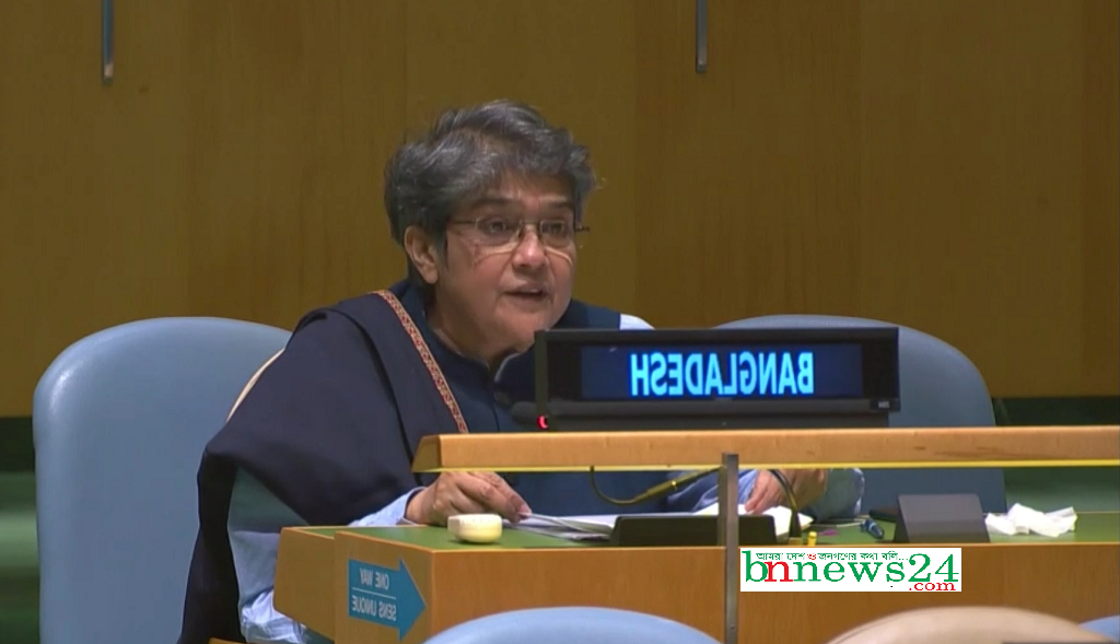 বিশ্ব অর্থনীতিতে বিদ্যমান দূর্বলতা অপসারণে আন্তর্জাতিক সহায়তা প্রয়োজন : রাষ্ট্রদূত রাবাব ফাতিমা