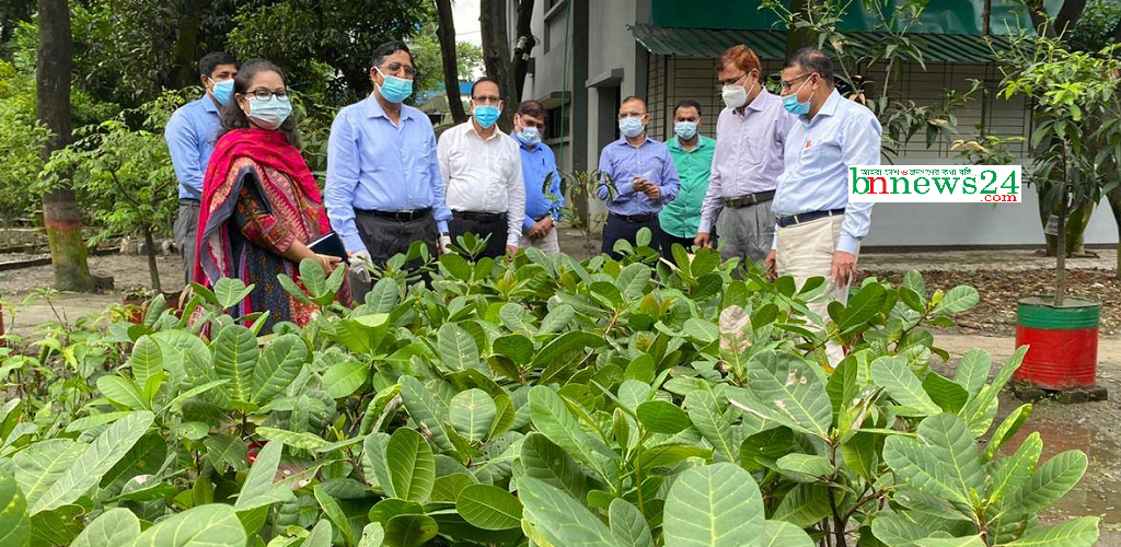 কফি, কাজুবাদামসহ অপ্রচলিত ফসলের উন্নত চারা সরবরাহের নির্দেশ কৃষিমন্ত্রীর