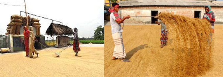 খুলনায় বো‌রো মওসু‌মে চাল সংগ্র‌হের লক্ষ্যমাত্রা পূরন না হওয়ায় কা‌লো তা‌লিকাভুক্ত হ‌চ্ছে ৫৮৮ চালকল