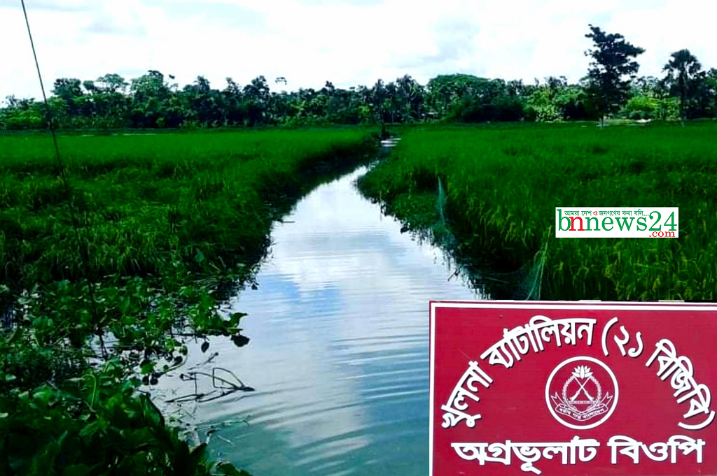 ভারতে অবৈধ প্রবেশকালে শার্শা সীমান্তে আটক ৫