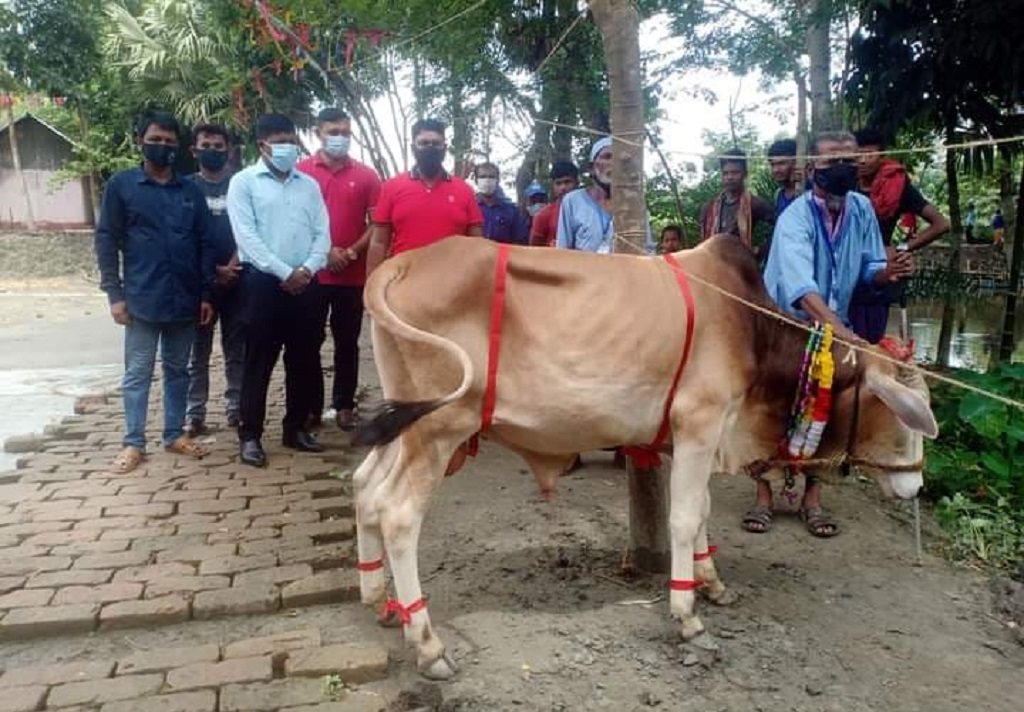 কোটালীপাড়ায় ভিক্ষুক পুনর্বাসন কেন্দ্রে কোরবানির গরু দিলেন ইউপি চেয়ারম্যান