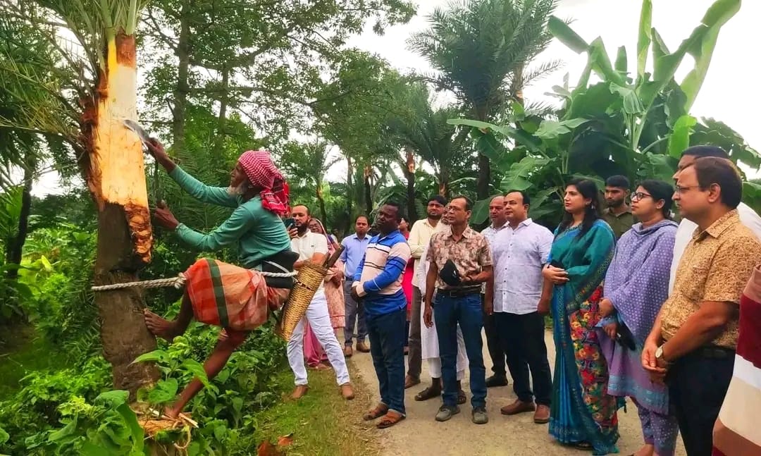 চৌগাছায় আনুষ্ঠানিকভাবে খেজুর গাছ তোলা  উদ্বোধন