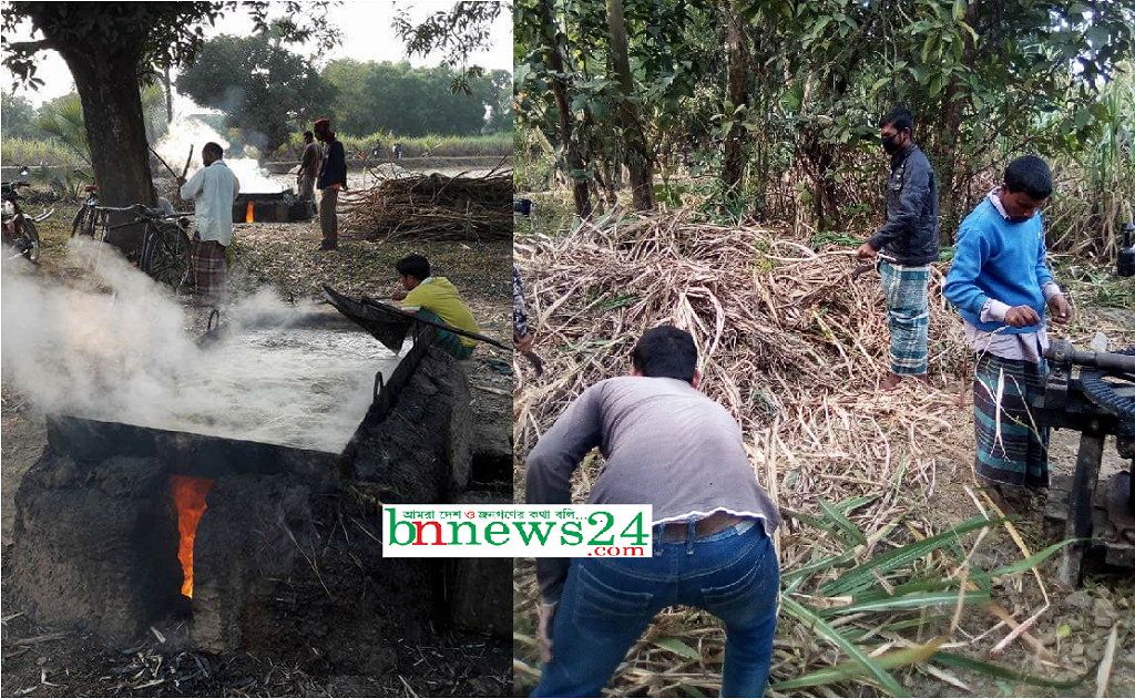 আখ মাড়াই নিয়ে বিভ্রান্তিমূলক তথ্য প্রকাশ না করতে আহবান বিএসএফআইসি'এর