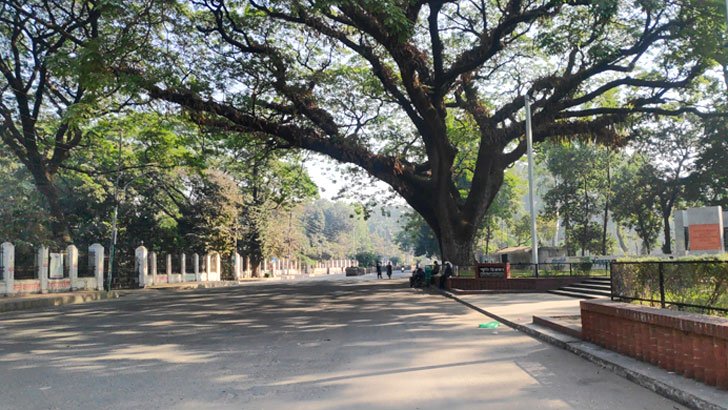 ‘বিশ্ববিদ্যালয় ঘিরে শেখ হাসিনা সরকার হটানোর প্রস্তুতি’