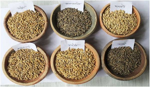 য‌শো‌রের ‌চৌগাছায়  নয়‌শো কৃষক‌কে বিনামূ‌ল্যে বীজ ও সার বিতরণ