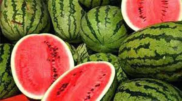 মণিরামপুর হাটবাজারে কেজি দরে হরহামাষা তরমুজ বিক্রি